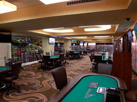 Hialeah park casino poker